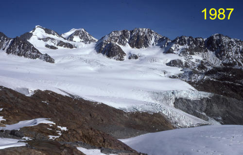 Blick von der Station "Gletschermitte" auf den östlichen Teil des Vernagtferners     (Foto: M. Weber)