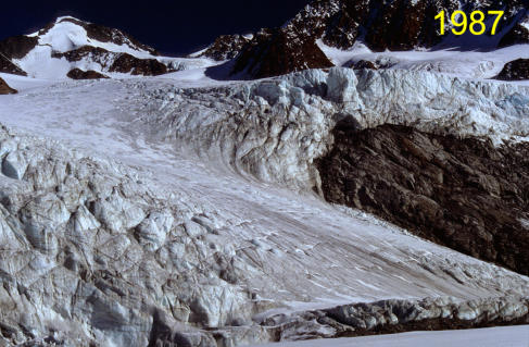 Die Eismassen des Sexenjochstroms und des Taschachstroms                  ( Foto: Markus Weber)