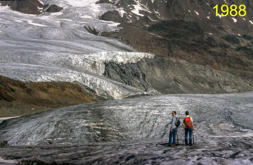 Blick von der Schwarzwandzunge auf die aufgeschobenen Eismassen         (Foto: M.Weber) 