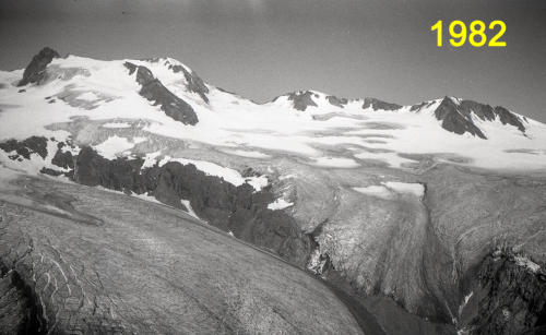 Luftaufnahme der schwarzwandzunge und dem Sexenjochstrom 1982     (Foto E. Heucke)