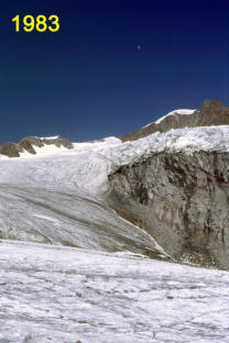 Die Taschachzunge von der Schwarzwandzunge 1983    (Foto M. Weber)  