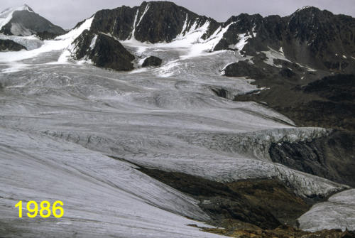 Blick von der Station "Gletschermitte" nach Osten zu den Eiströmen vom Sexenjoch und dem Taschachjoch.     (Foto M. Weber)