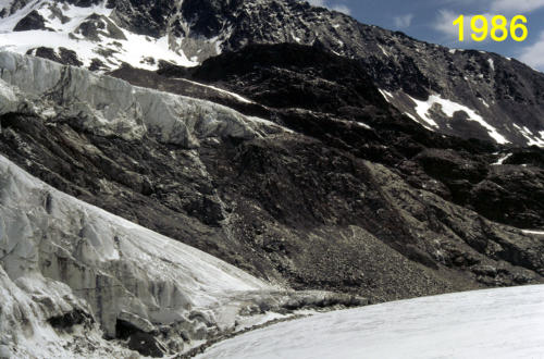 Das Zungenenden der mittleren Zunge von der Schwarzwandzunge           (Foto: M. Weber)